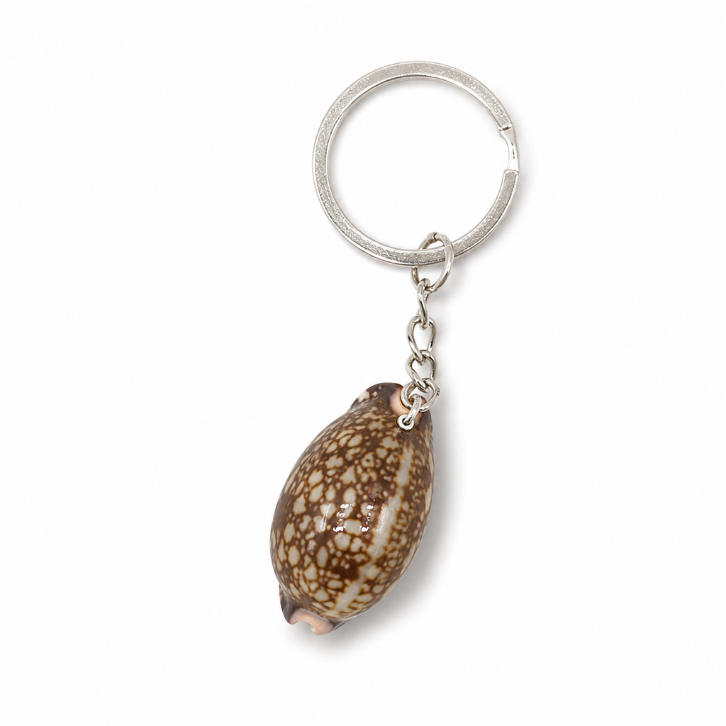A1Aura Real Shell Charm Keychain – Natural Ocean Shell Key Ring & Bag Charm